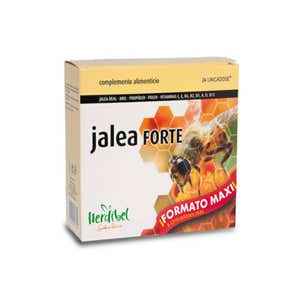 JALEA FORTE MAXI - 24 Ampoules Complément Alimentaire avec Gelée Royale, Propolis, Pollen et Vitamines